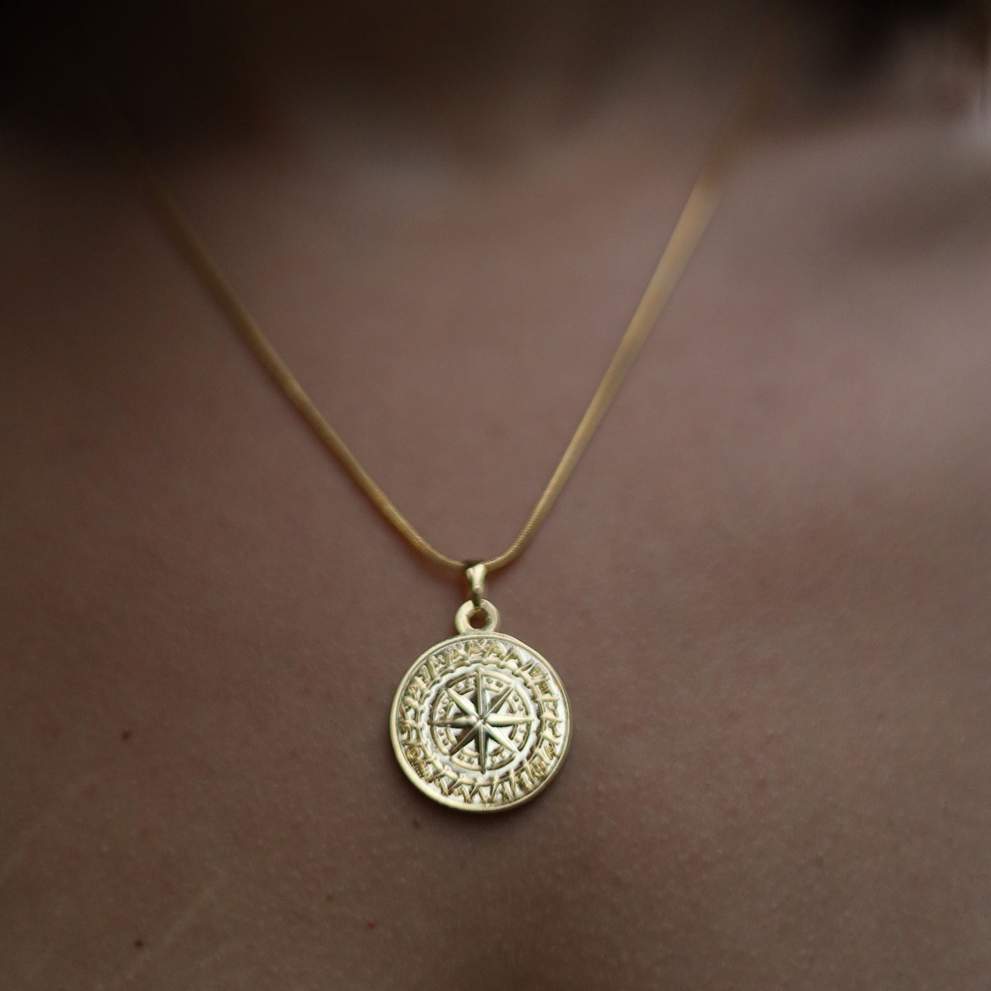 Small Coin Necklace _ Tabitha Phoenician